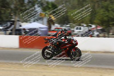 media/Sep-07-2024-Pacific Track Time (Sat) [[9bb89f5e83]]/C group/Front Straight 1240pm/